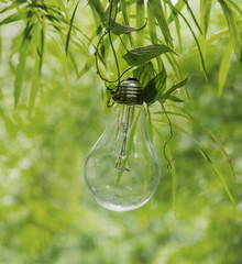 hang keep Light bulb glowing  idea or energy concept