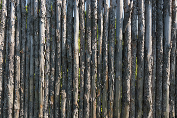 old wooden fence