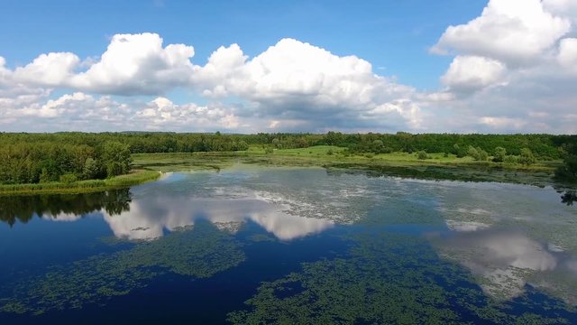 Summer time lake and green forest, white clouds over blue sky in Poland lanscape.