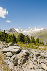 Zermatt. Bergdorf, Alpen, Wallis, Wanderweg, Naturweg, Riffelalp, Lärchenwald, Findelschlucht, Schweizer Berge, Sommer, Schweiz