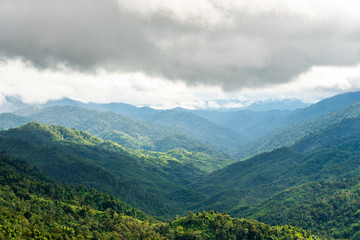 Fototapeta na wymiar Green forest on mountain range landscape on haze day before raining