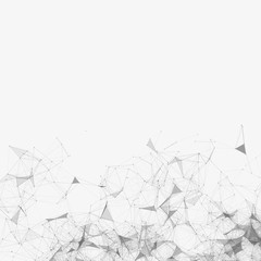 Black and White Mesh Vector Background | EPS10 Design