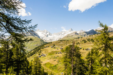 Zermatt, Dorf, Wallis, Alpen, Schweizer Berge, Findeln, Wanderweg, Lärchenwald, Findelbach, Sommer, Schweiz