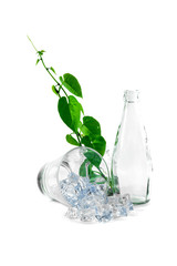 Bottle and glass of water with green ivy.