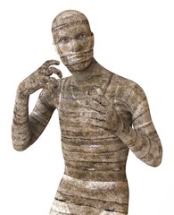 Mummy 3D Illustration