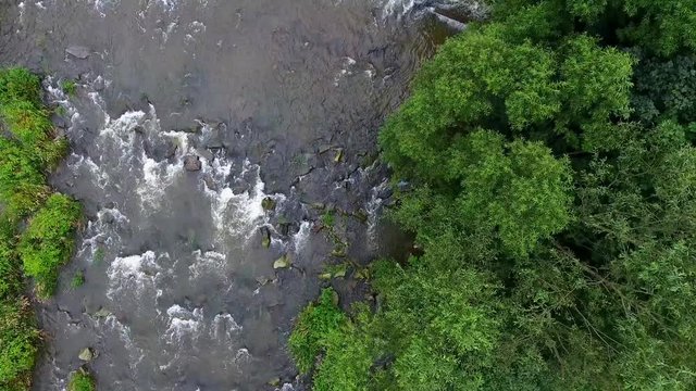 Mountain river and green riverbank from above.