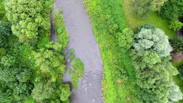Mountain river and green riverbank from above. Ustron. Poland