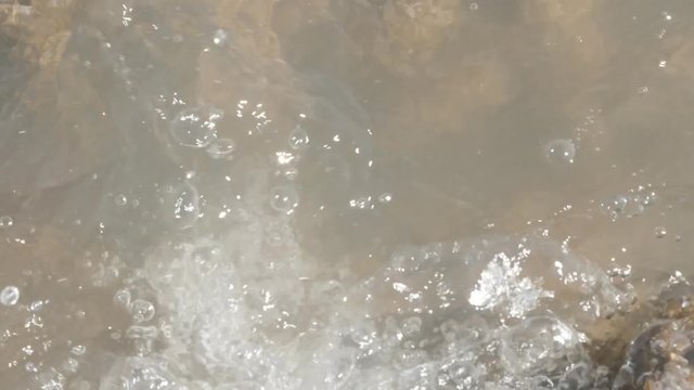 Fossilized Anthozoa Atlantic ocean marine invertebrates and polyps after low tide 2160p 30fps UltraHD footage - Porous corals sticking out of the water 4K 3840X2160 UHD video