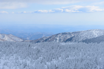 Fototapeta na wymiar 冬の蔵王山