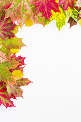 Autumn leaves frame on white background. Vertical image