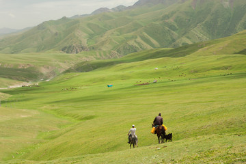 Fototapeta na wymiar Two riders on horseback go away in the valley between the green mountains. Kyrgyzstan.