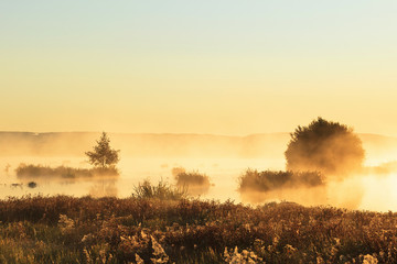 Misty sunrise