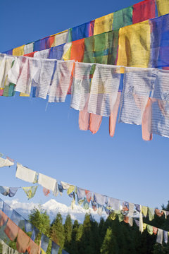 India, Sikkim, Gangtok, Ganesh Tok, Prayer flags and Kanchenjunga range