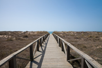Fototapeta na wymiar wooden path to ocean horizontal
