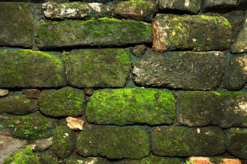 Old stone brick wall with moss