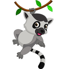 Cute lemur cartoon © hermandesign2015