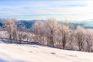 Snowy winter mountains landscape with frosted trees and blue cloudy sky
