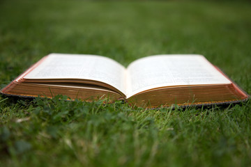 Open Antiquarian Book in green grass, with art-gilt page edges.