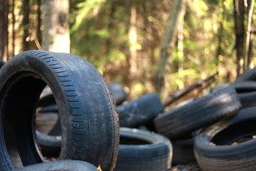 dump tires in forest