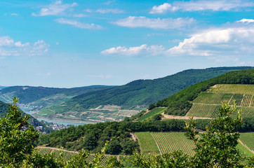 Fototapeta na wymiar Rural landscape with view at vineyards, towns, hills and the Rhine river valley on a sunny summer day