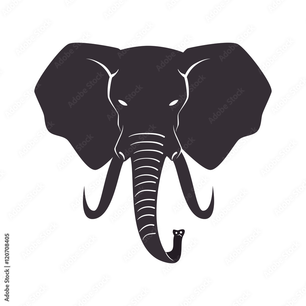 Canvas Prints icon elephant design isolated vector illustration eps 10