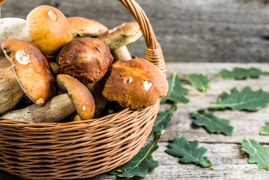Boletus mushrooms in basket on wooden table