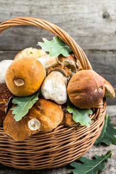 Fresh mushrooms in basket, boletus from forest on rustic backgro