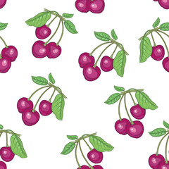 Seamless pattern with cherry berries