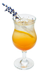 orange cocktail  in high ball glass