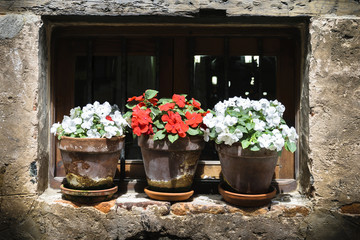 Three flowerpots in a sill