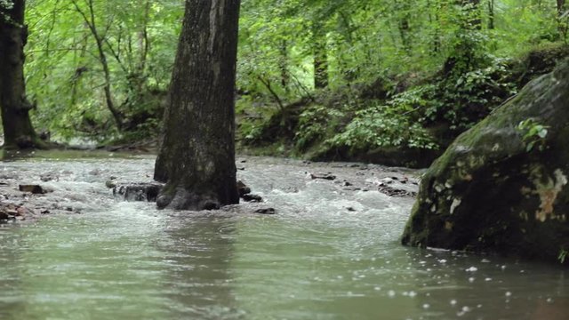 A flowing creek in a forest, bubbling over rocks and pebbles in slow motion.