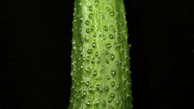 Cucumbers on the black background