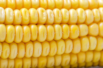 Fresh Corn. Small Depth Of Field. Macro.
