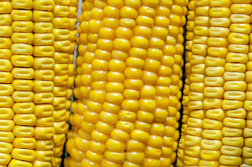 Fresh Corn. Small Depth Of Field. Macro.