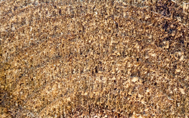 wooden board background