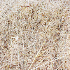 straw bale texture