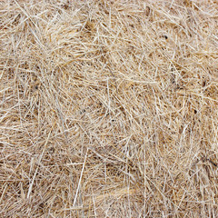 straw bale texture