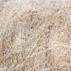 straw bale texture