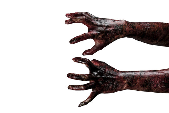 Blood  zombie hands,  zombie theme, halloween theme