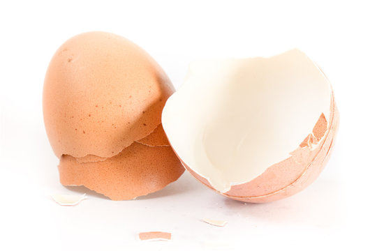 egg shell on white background