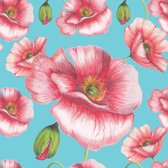 Seamless pattern of hand drawn poppies