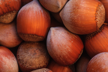 hazelnuts photo, hazelnuts background, raw nuts, nuts shell, hazelnuts pile, hazelnuts for sale, hazelnuts macro