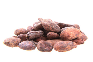 cocoa beans isolated