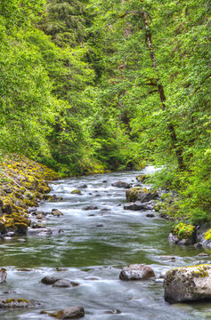 Sol Doc River, Olympic National Park, Washington