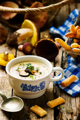 forest mushrooms cream soup