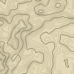 Topographic map background concept with space for your copy. Topography lines art contour , mountain hiking trail , Shape  design. Computer generated .