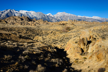Obraz premium Sequoia National Park