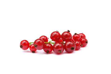 Fresh red currant isolated on white background