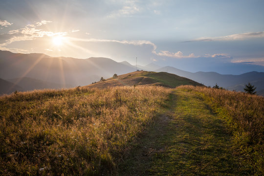 Fototapeta In summer mountains