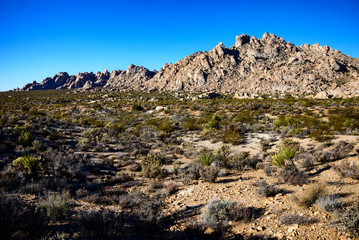 Fototapeta na wymiar Mojave National Preserve